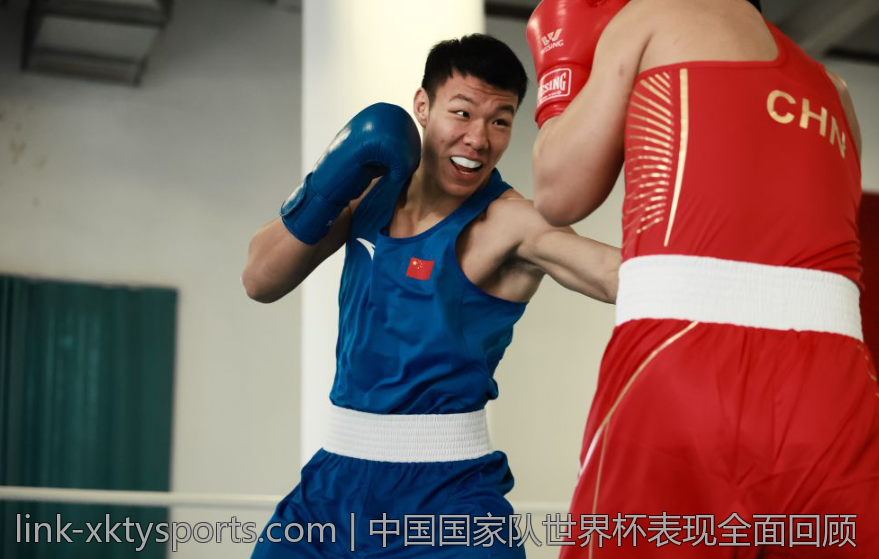 中国国家队世界杯表现全面回顾